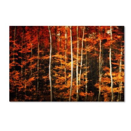Trademark Fine Art